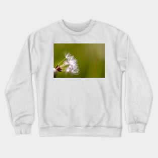 Close-up of dandelion seeds Crewneck Sweatshirt